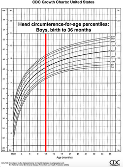 head circumference chart